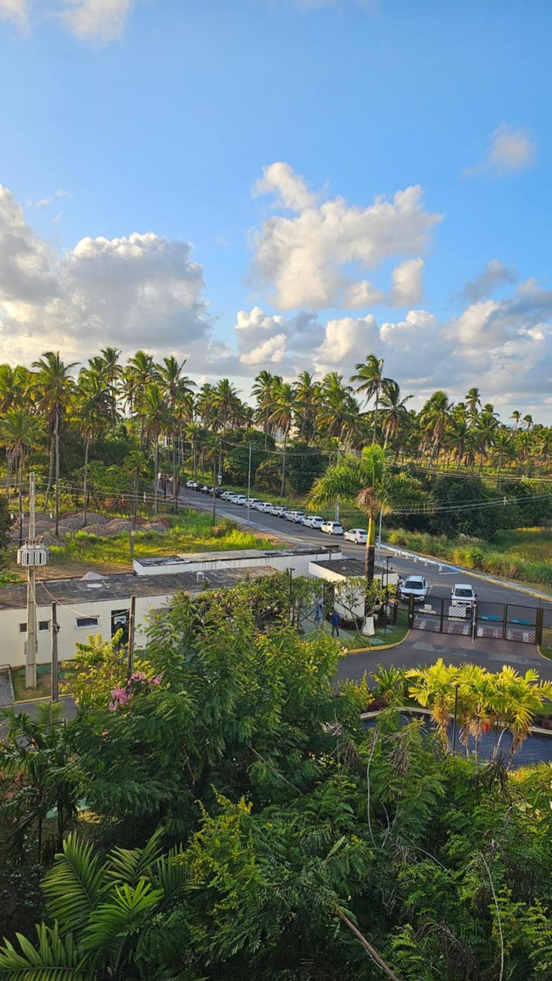 Palm Village *