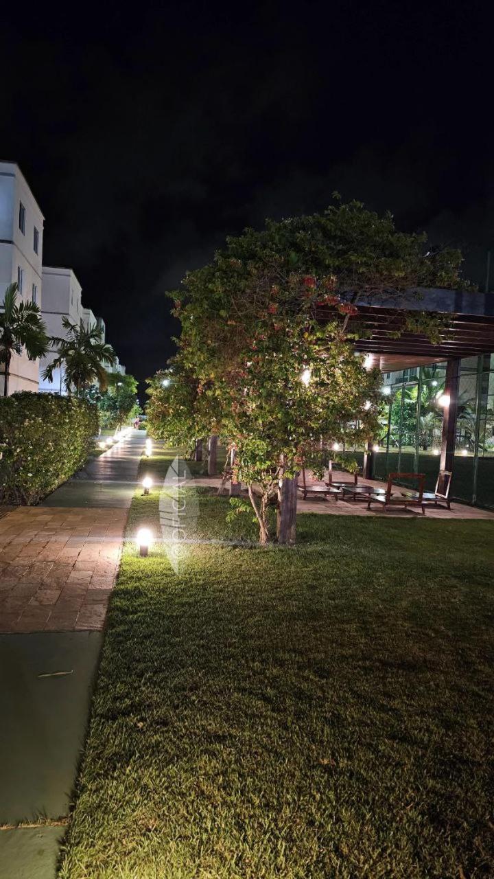Palm Village