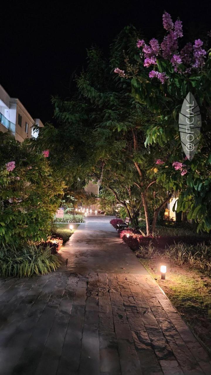 Palm Village *